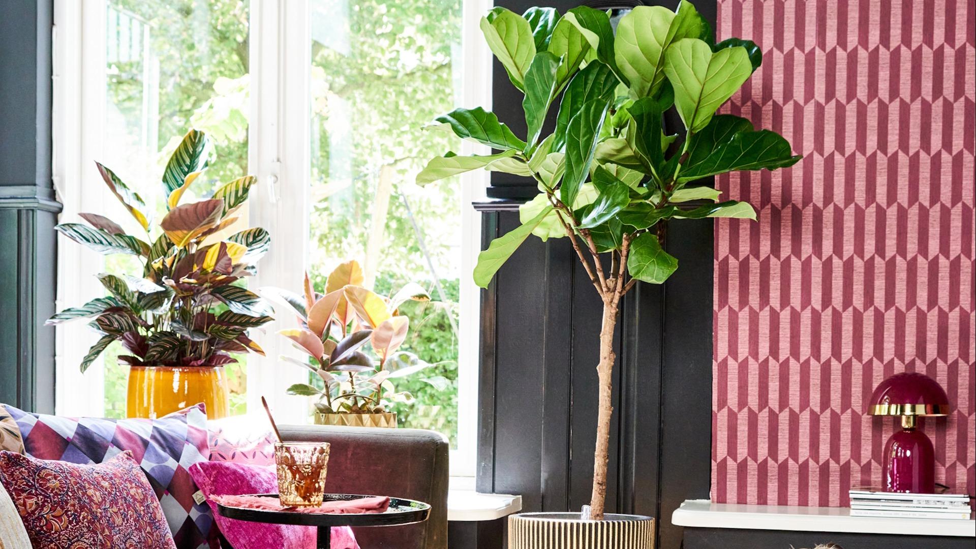 Tuinontwerp studio - Kantoor en Interieurbeplanting