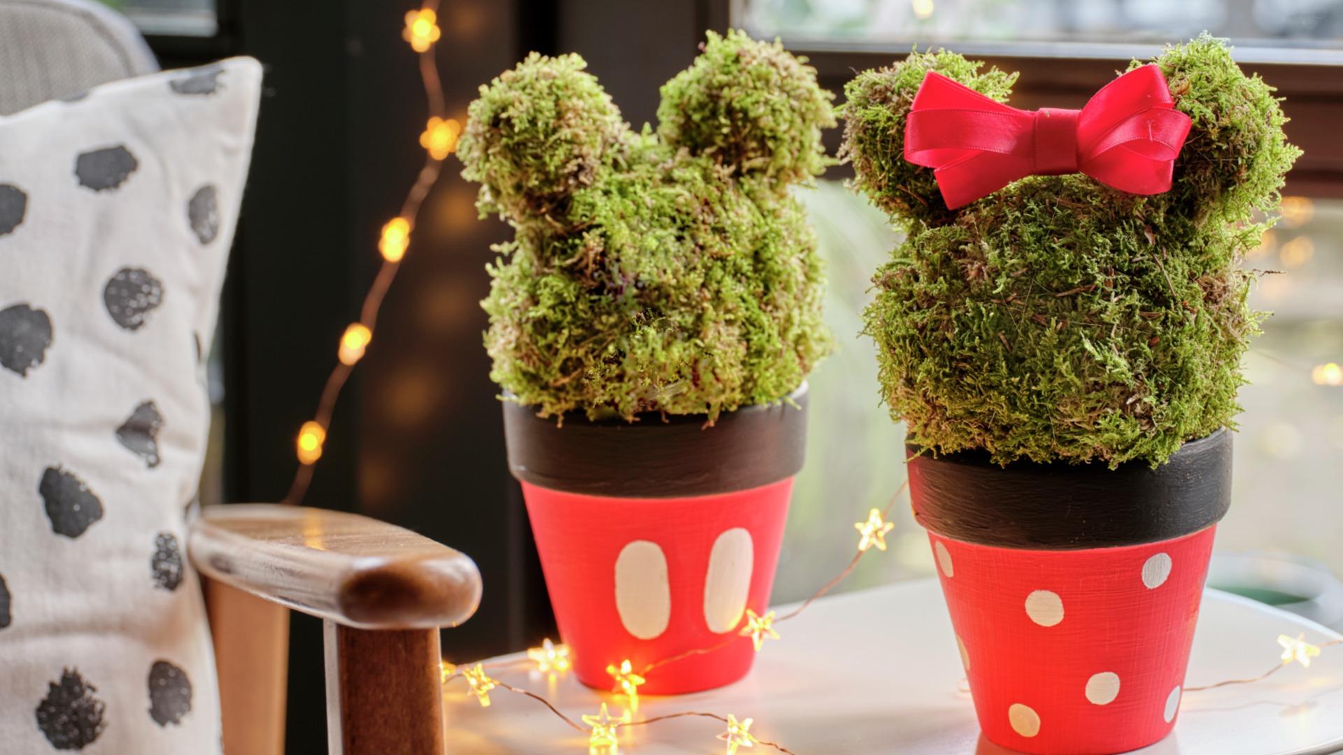 Kidsworkshop muizenmagie