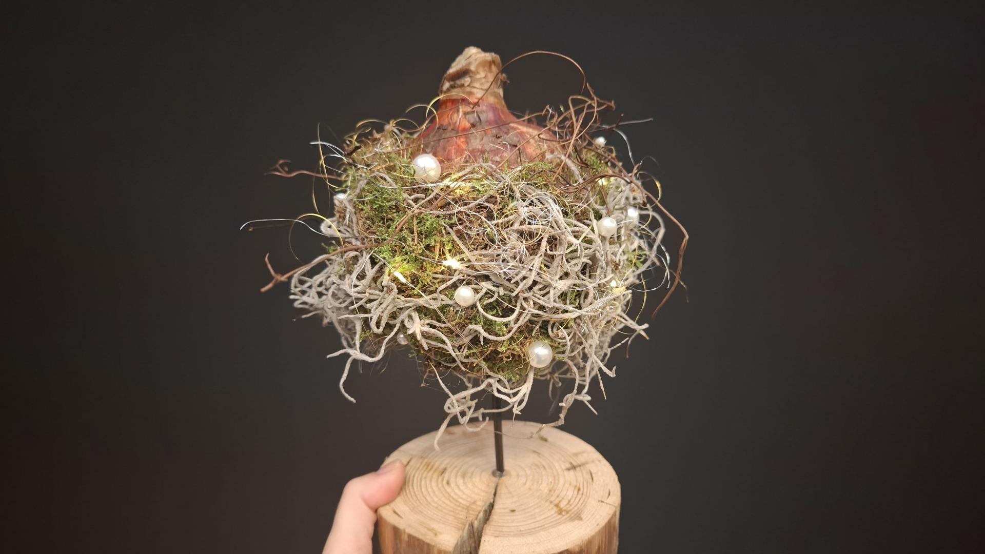 Workshop Winterse Amaryllisbol