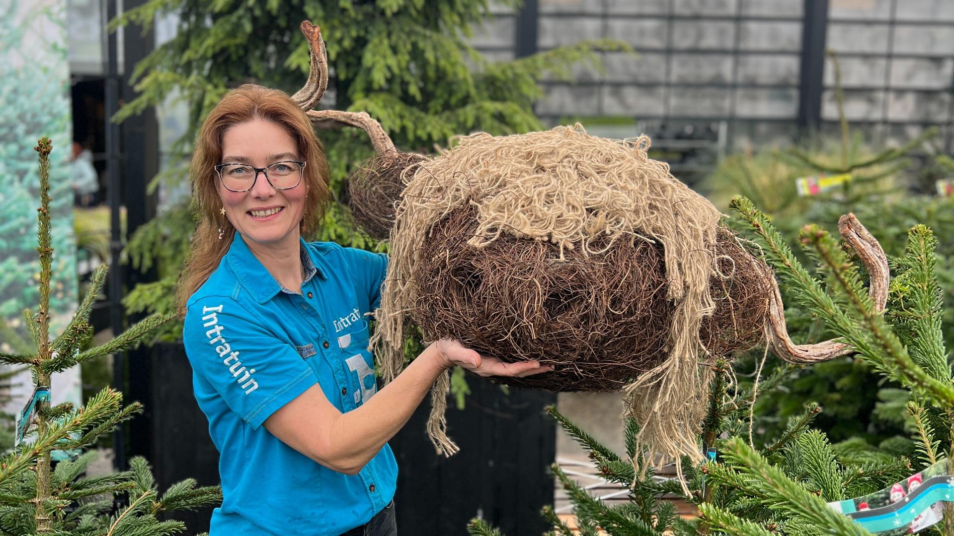 Workshop schotse hooglander