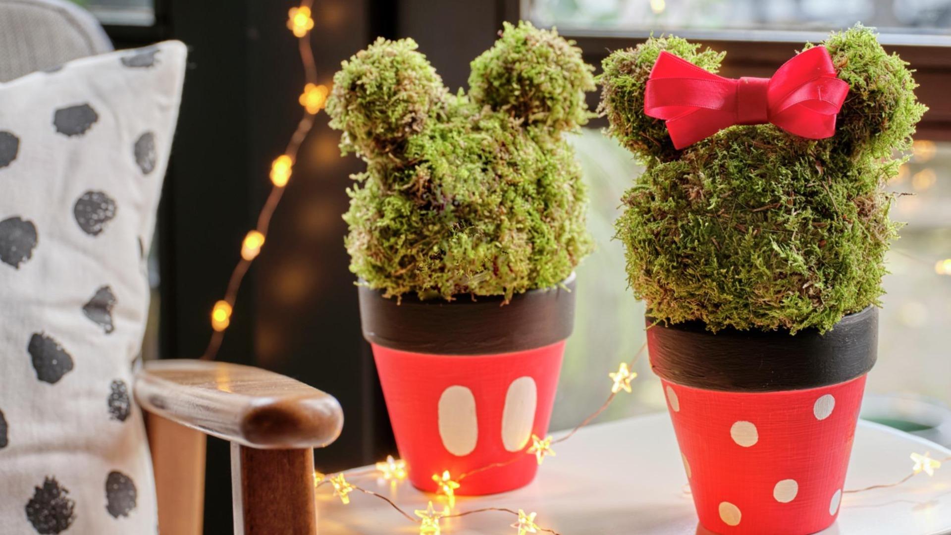 Kidsworkshop muizenmagie