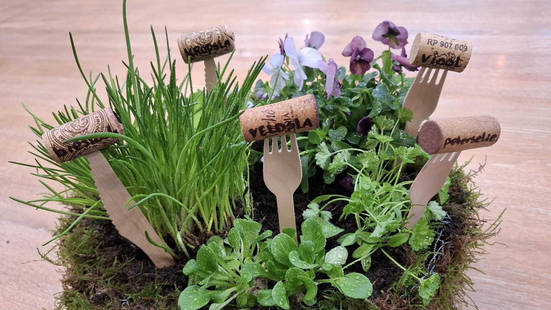 Workshop Saladetuintje