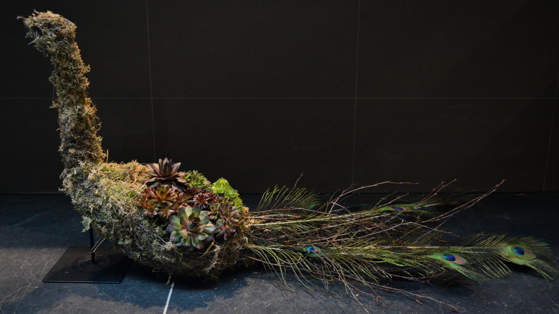 Groene Parade Pauw