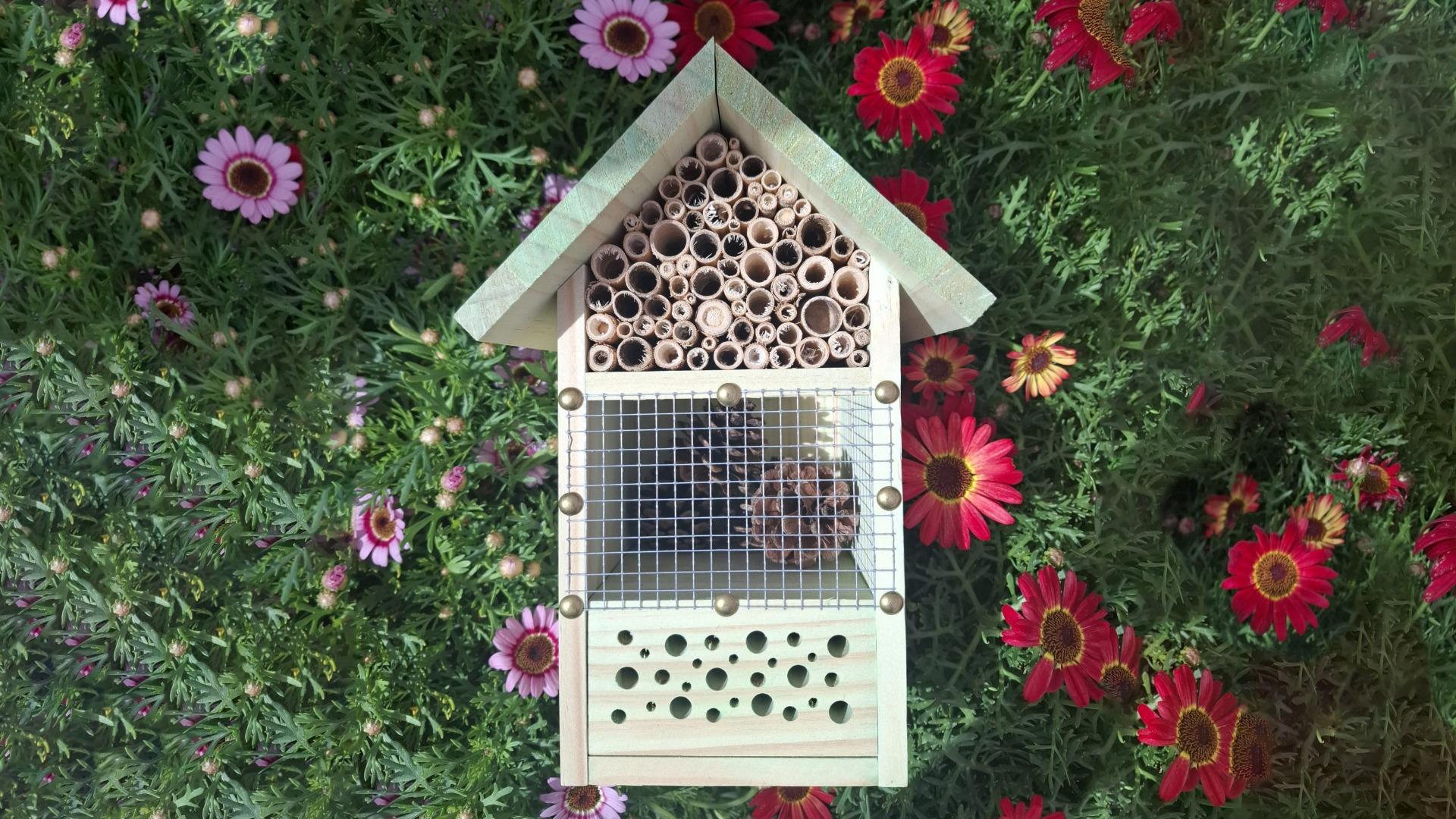 Kidsworkshop Insectenhotel