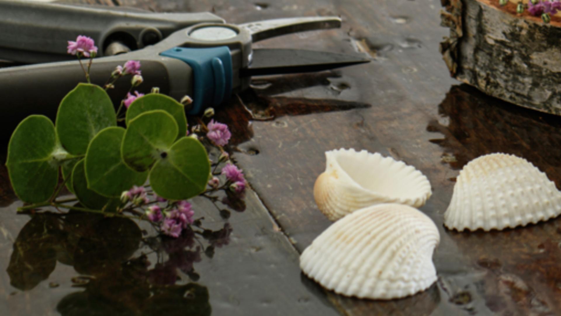 Landelijk workshop zomerse boomschijf