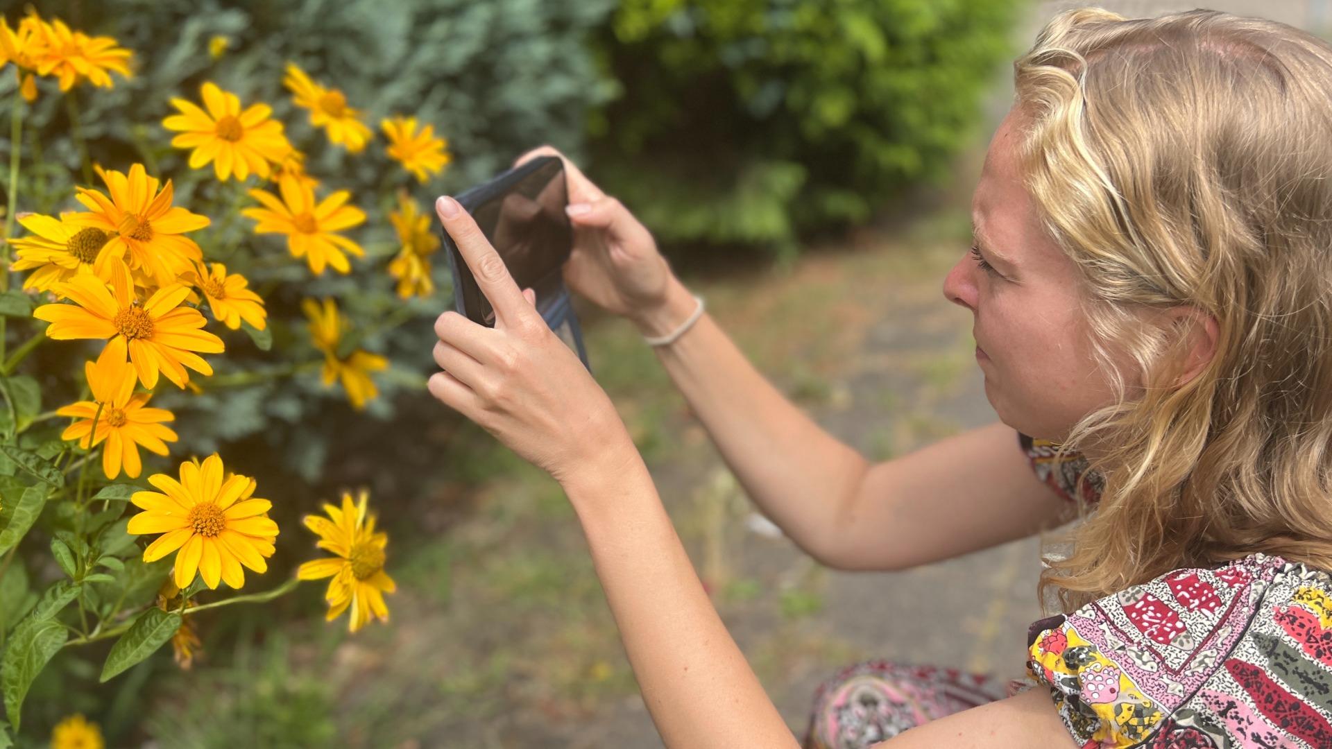Workshop fotograferen met de mobiel