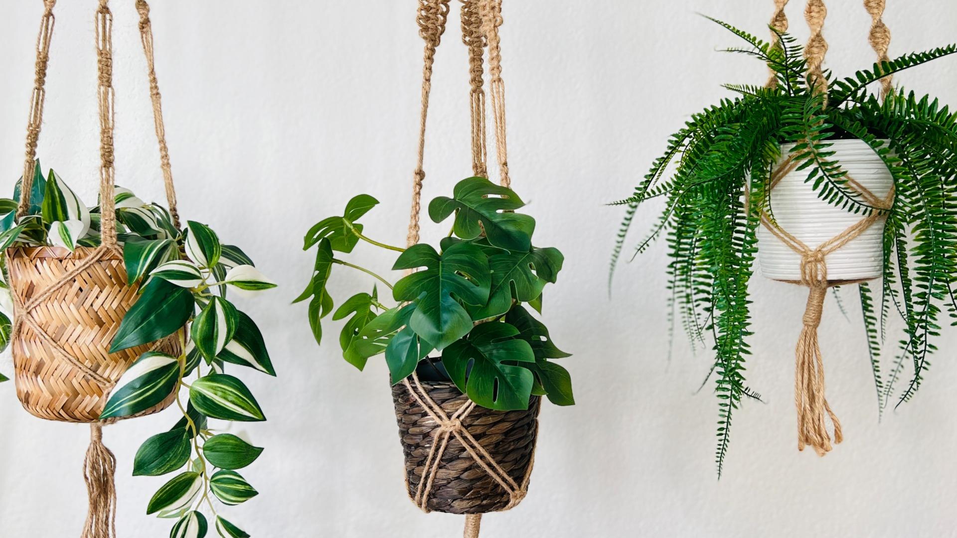Workshop macrame - plantenhanger